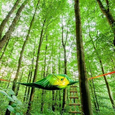 Appartementhaus Eifeladventures Berlingen Εξωτερικό φωτογραφία