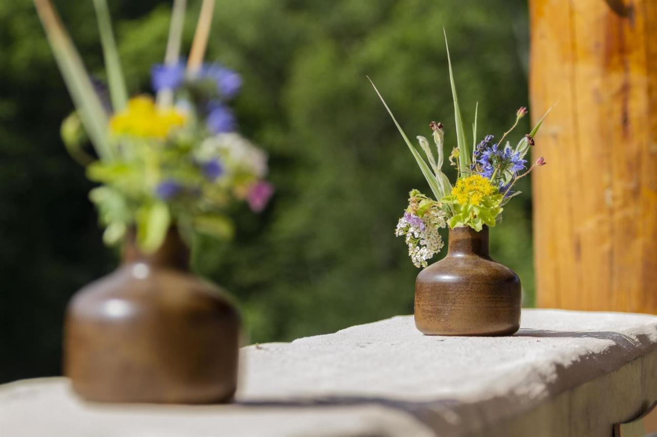 Appartementhaus Eifeladventures Berlingen Εξωτερικό φωτογραφία