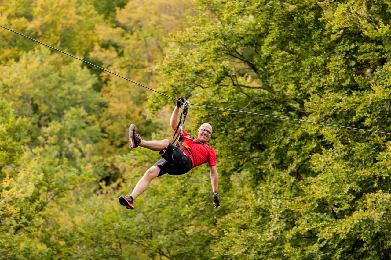 Appartementhaus Eifeladventures Berlingen Εξωτερικό φωτογραφία